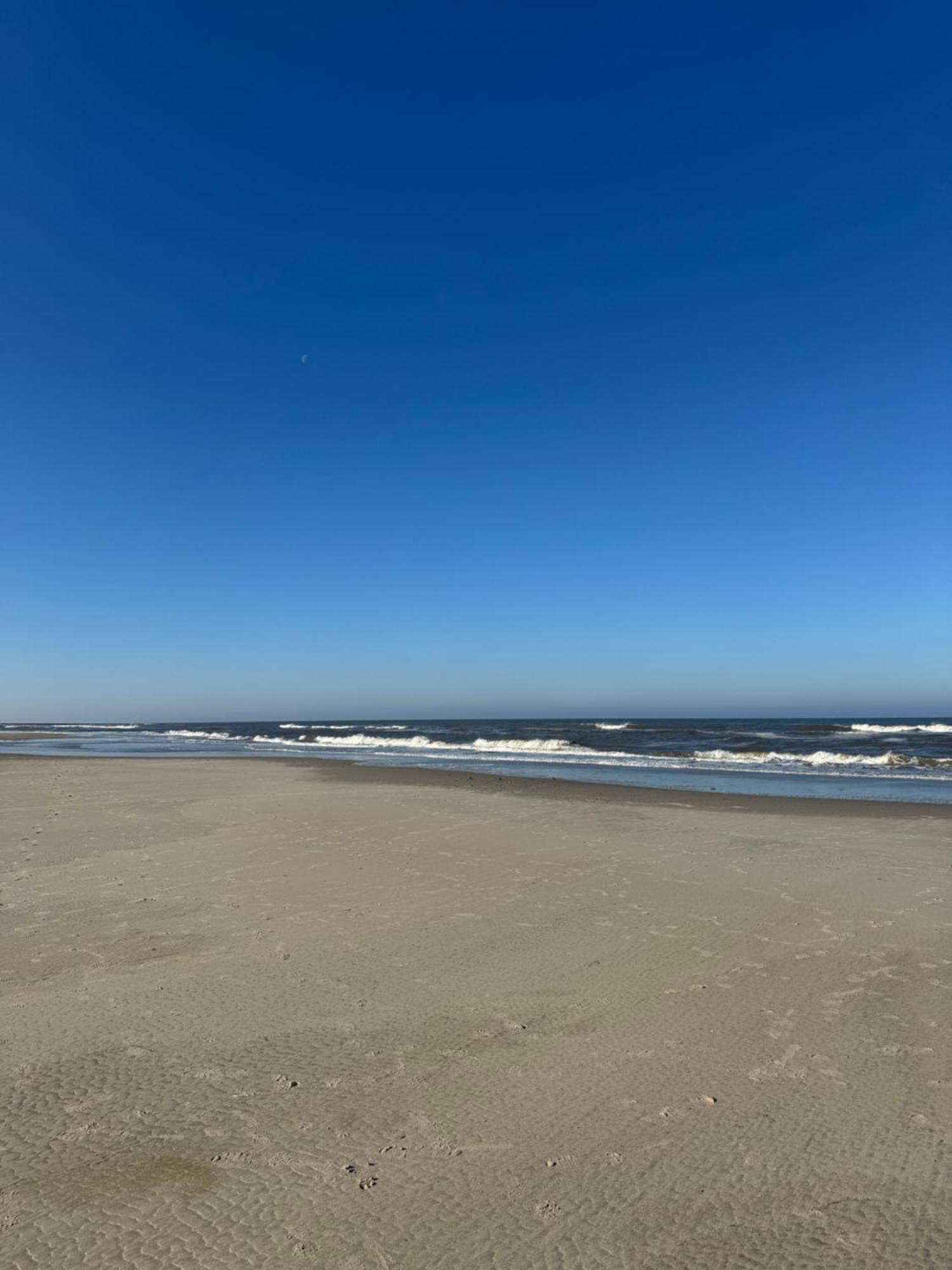 Duenenrose Am Nordstrand Norderney Exteriör bild